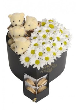 Kalpli Kutu İçerisinde Papatya ve Bej Ayıcıklar (Makaron)