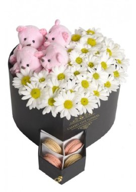 Kalpli Kutu İçerisinde Papatya ve Pembe Ayıcıklar (Makaron)